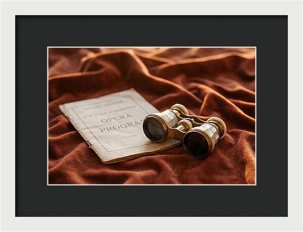 Vintage Opera Glasses On Velvet