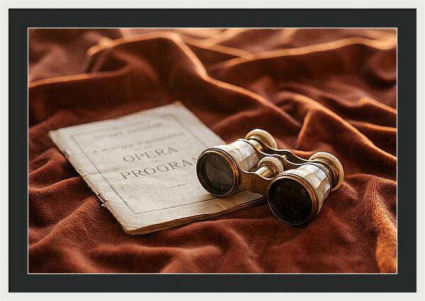 Vintage Opera Glasses On Velvet