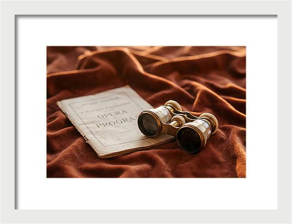 Vintage Opera Glasses On Velvet