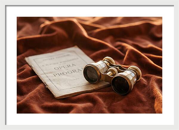 Vintage Opera Glasses On Velvet
