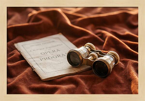 Vintage Opera Glasses On Velvet