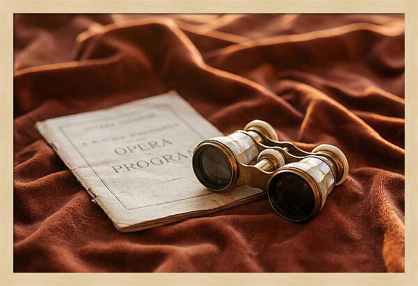 Vintage Opera Glasses On Velvet