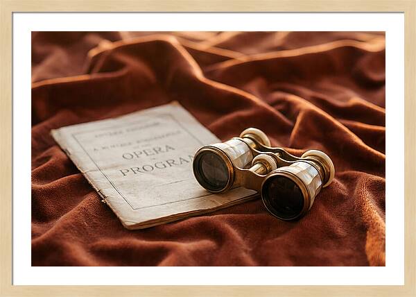 Vintage Opera Glasses On Velvet