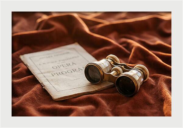 Vintage Opera Glasses On Velvet