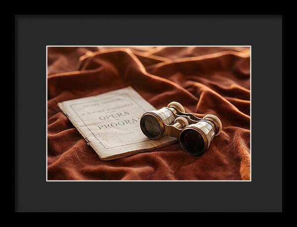Vintage Opera Glasses On Velvet