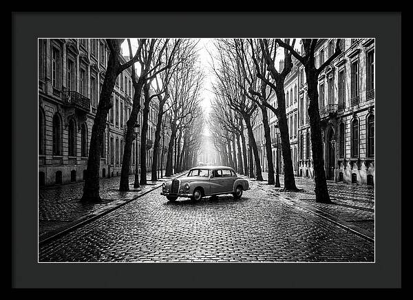 Vintage Sedan On Tree Lined Street