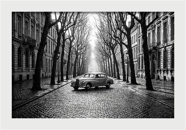 Vintage Sedan On Tree Lined Street