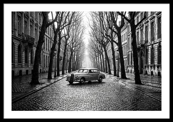 Vintage Sedan On Tree Lined Street