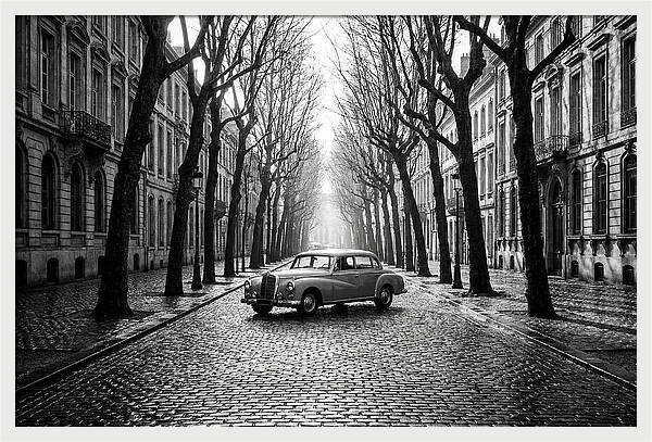 Vintage Sedan On Tree Lined Street