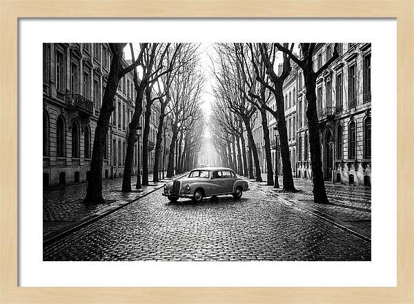 Vintage Sedan On Tree Lined Street