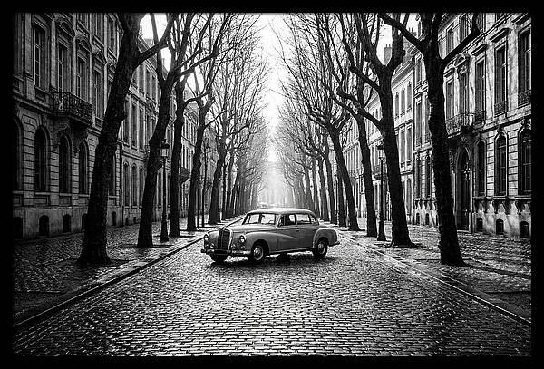 Vintage Sedan On Tree Lined Street
