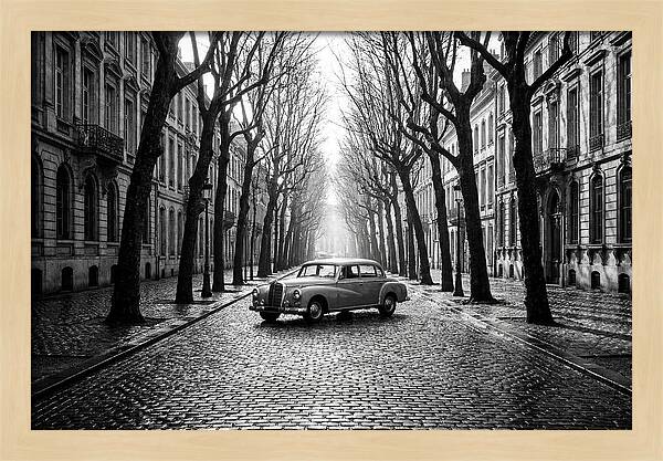 Vintage Sedan On Tree Lined Street