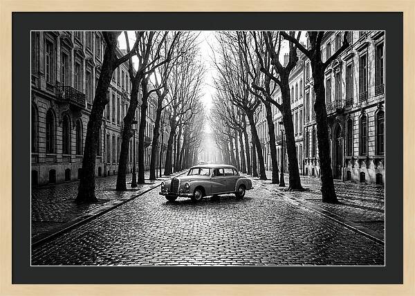 Vintage Sedan On Tree Lined Street