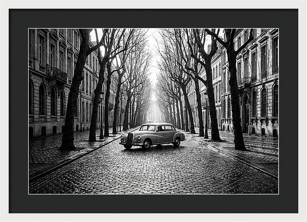 Vintage Sedan On Tree Lined Street