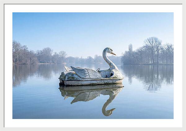 Vintage Swan Pedal Boat Reflection