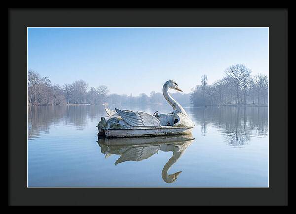 Vintage Swan Pedal Boat Reflection