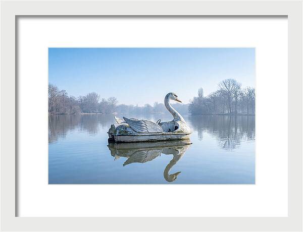 Vintage Swan Pedal Boat Reflection
