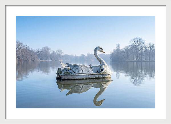 Vintage Swan Pedal Boat Reflection