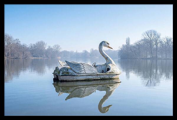 Vintage Swan Pedal Boat Reflection