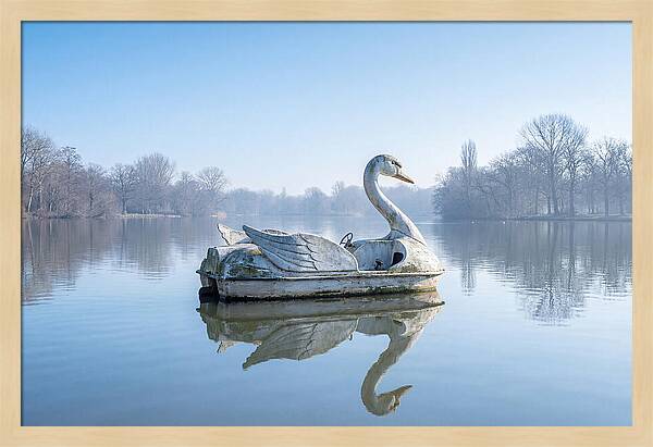 Vintage Swan Pedal Boat Reflection