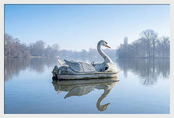 Vintage Swan Pedal Boat Reflection