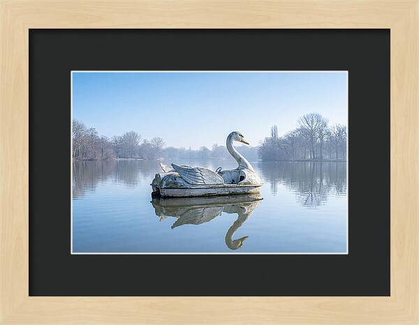 Vintage Swan Pedal Boat Reflection