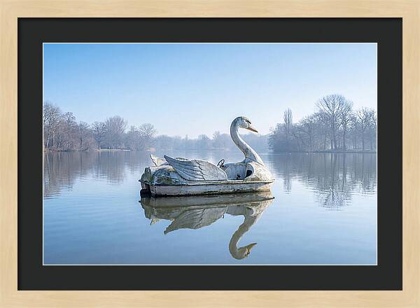 Vintage Swan Pedal Boat Reflection