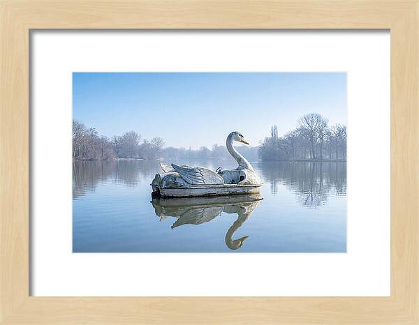 Vintage Swan Pedal Boat Reflection
