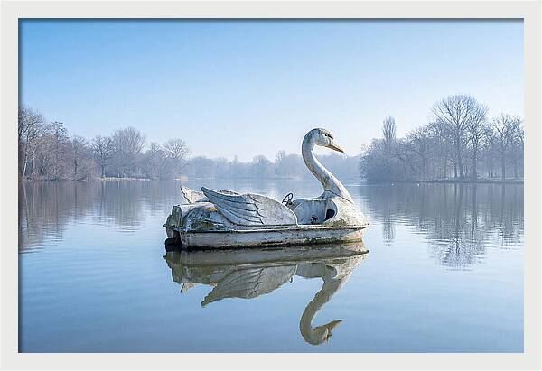 Vintage Swan Pedal Boat Reflection