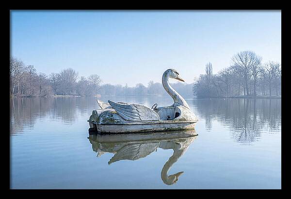 Vintage Swan Pedal Boat Reflection