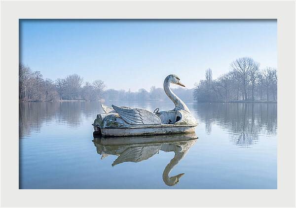 Vintage Swan Pedal Boat Reflection
