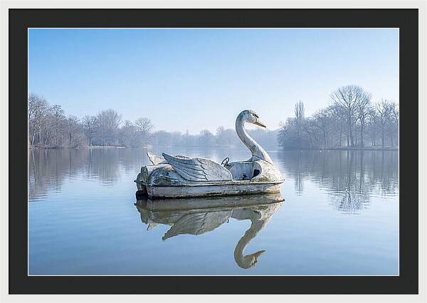 Vintage Swan Pedal Boat Reflection