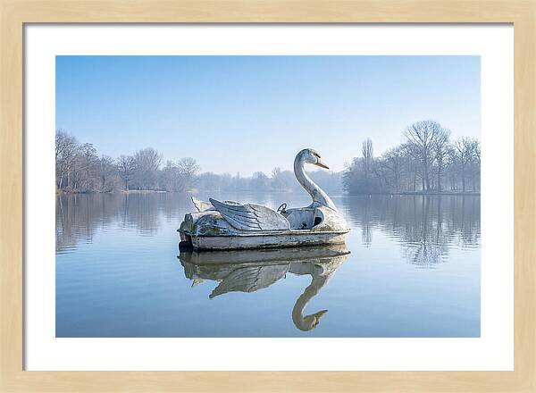 Vintage Swan Pedal Boat Reflection