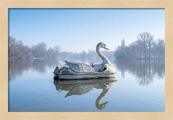 Vintage Swan Pedal Boat Reflection