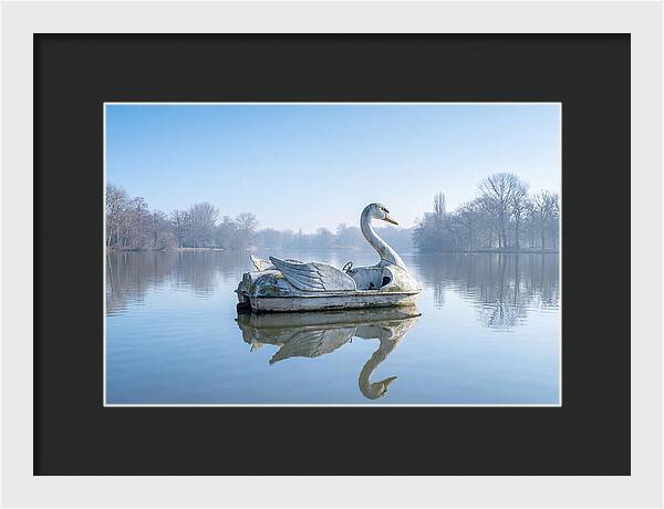 Vintage Swan Pedal Boat Reflection
