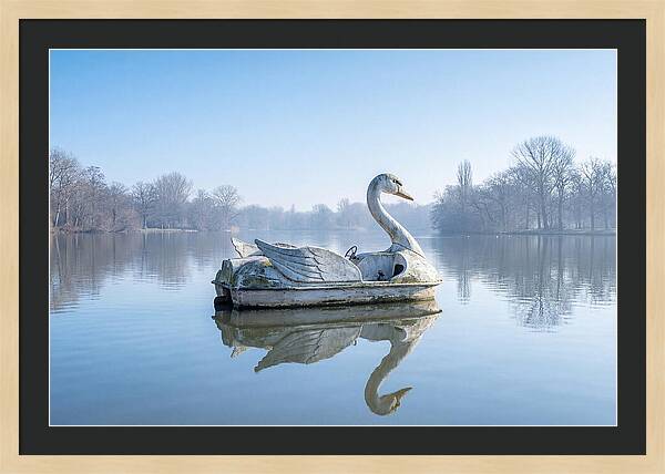Vintage Swan Pedal Boat Reflection