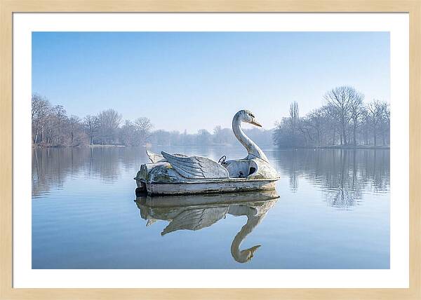 Vintage Swan Pedal Boat Reflection