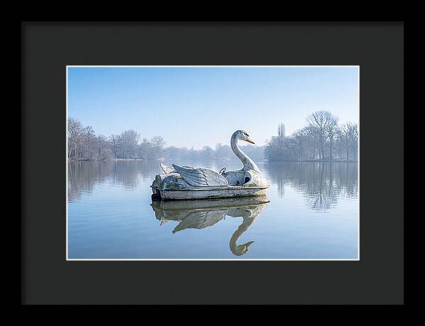 Vintage Swan Pedal Boat Reflection