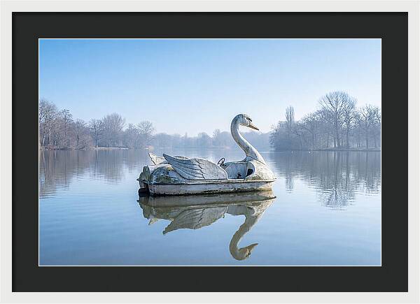 Vintage Swan Pedal Boat Reflection