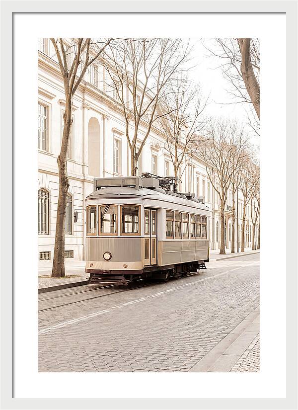 Vintage Tram On Tree Lined Boulevard