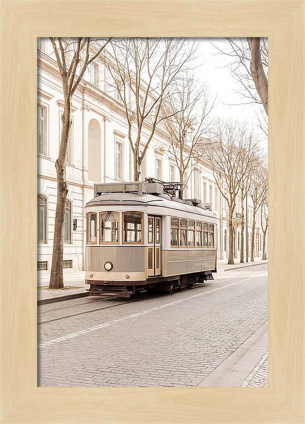 Vintage Tram On Tree Lined Boulevard
