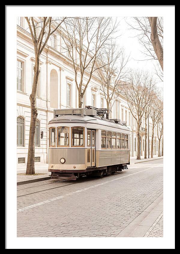 Vintage Tram On Tree Lined Boulevard