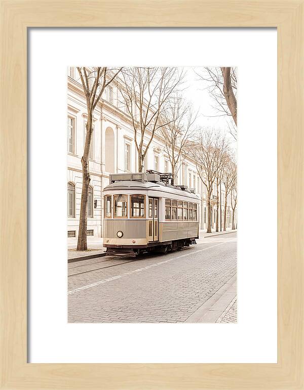 Vintage Tram On Tree Lined Boulevard
