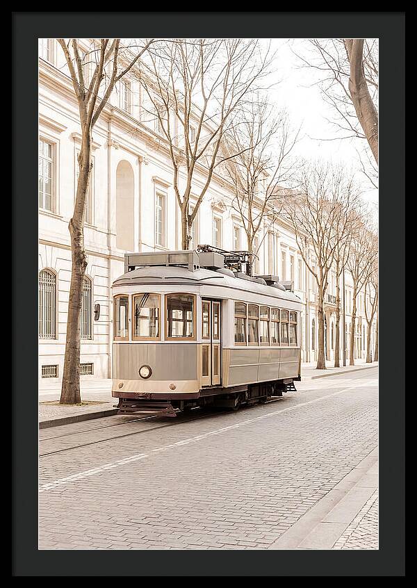 Vintage Tram On Tree Lined Boulevard
