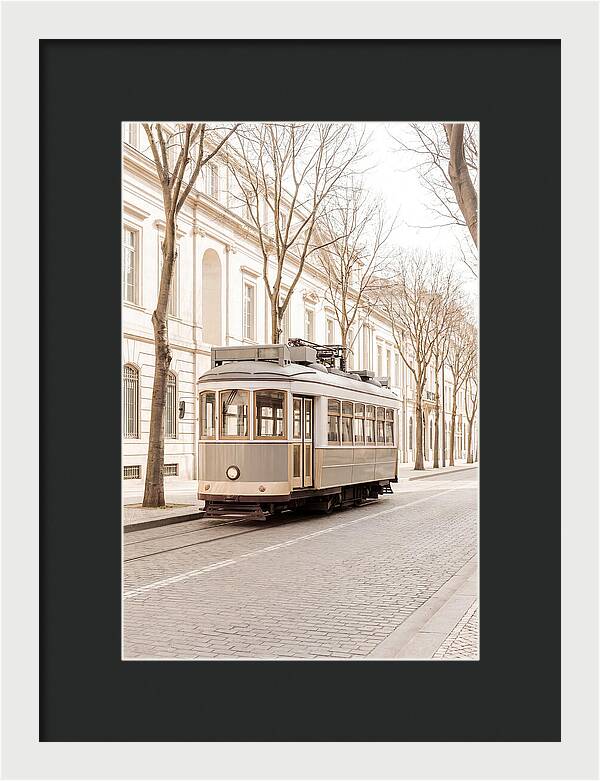 Vintage Tram On Tree Lined Boulevard