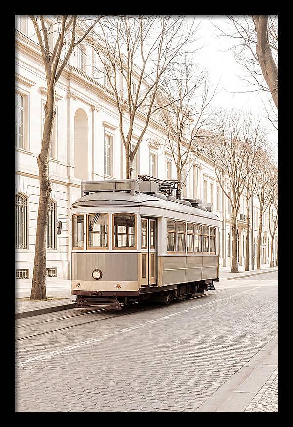 Vintage Tram On Tree Lined Boulevard