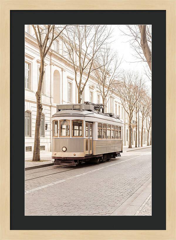 Vintage Tram On Tree Lined Boulevard