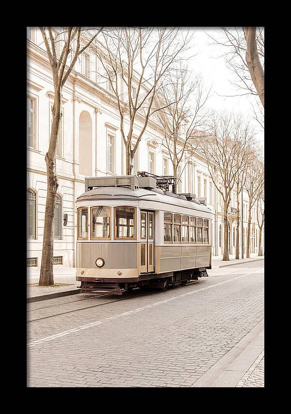 Vintage Tram On Tree Lined Boulevard