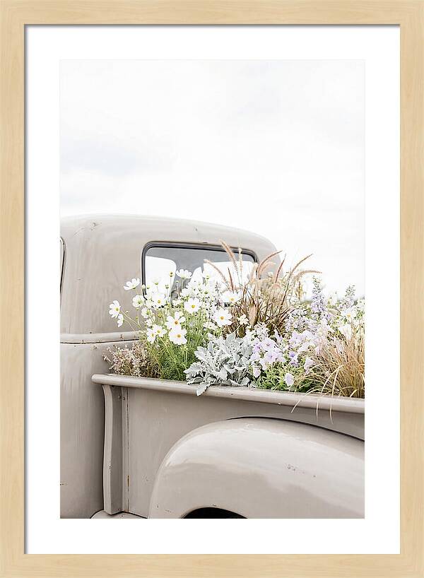 Vintage Truck Bed Filled With Flowers