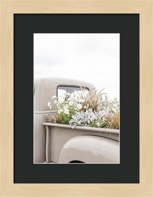 Vintage Truck Bed Filled With Flowers